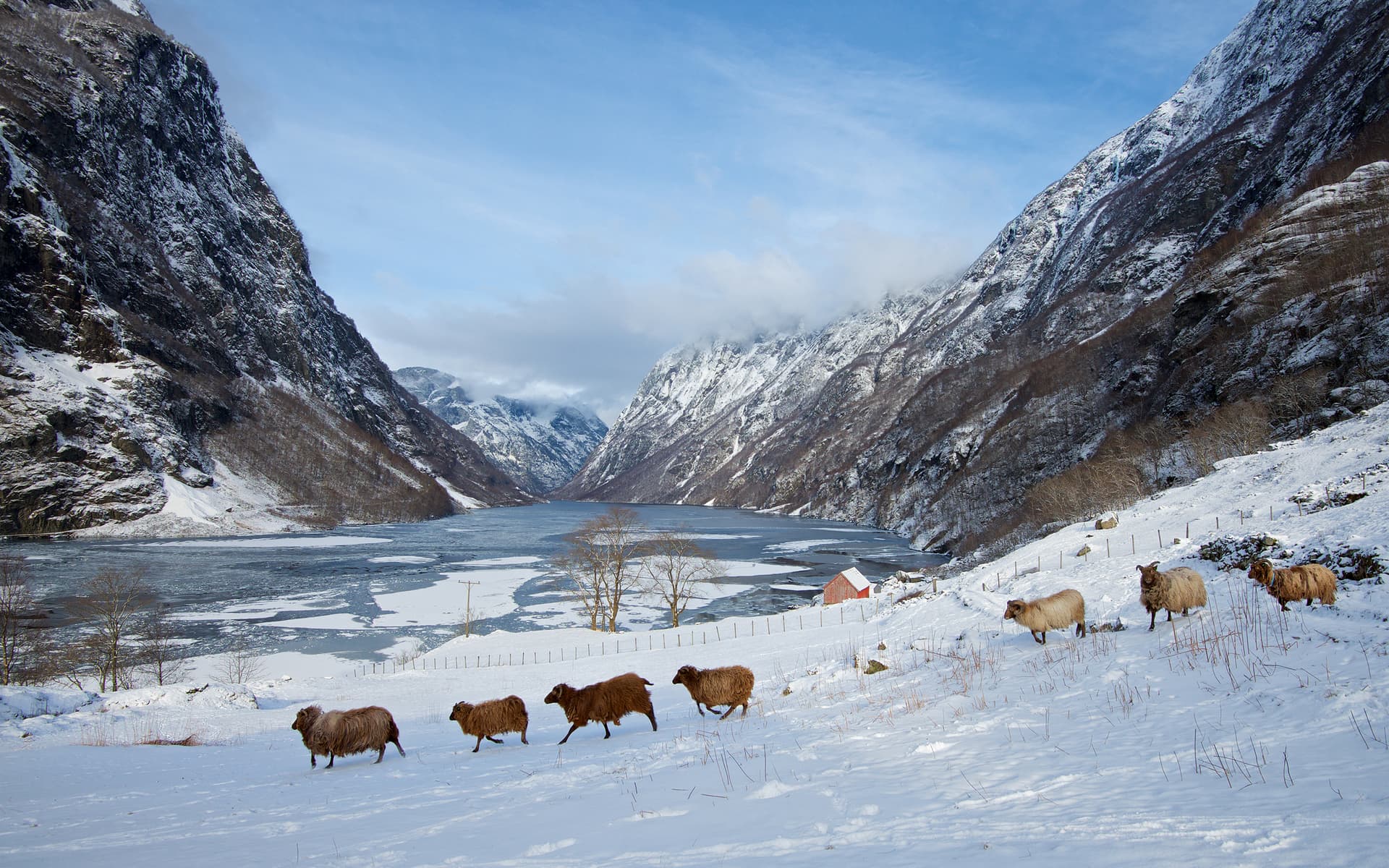 Klar for å krysse Norge om vinteren?
