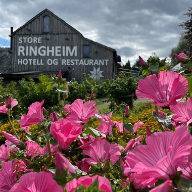 Store Ringheim Hotel