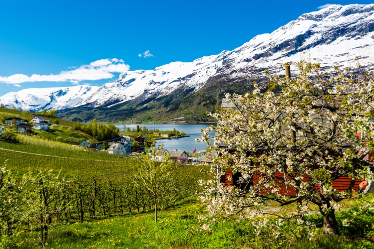Famous Waterfalls & Scenic Fjord Villages