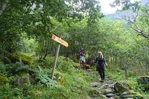 Aktivitäten auf einer Voss- geführten Wanderung nach Rimstigen ab Voss, auf dem Weg zum Gipfel - Voss, Norwegen