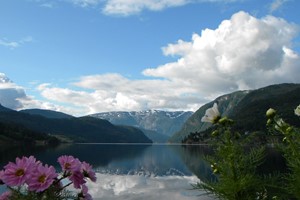 Sommer i Ulvik - Hardangerfjorden i et nøtteskall