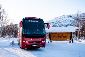 Polar Park tour from Tromsø