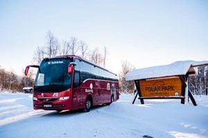 Tur til Polar Park fra Tromsø