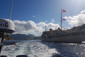 Havørn Safari til Trollfjorden – RIB