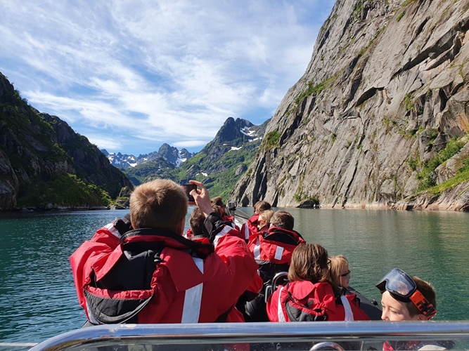 Havørn safari til Trollfjorden med RIB-båt