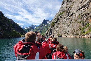 RIB-Bootsfahrt von Svolvær - Adlersafari auf den Lofoten, Svolvær, Norwegen