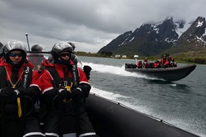Fast-paced RIB boat trip - Sea eagle safari from Svolvær in Lofoten, Norway