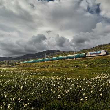 Ferrocarril de Bergen