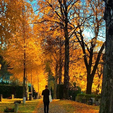 Herbst in oslo - Norwegen