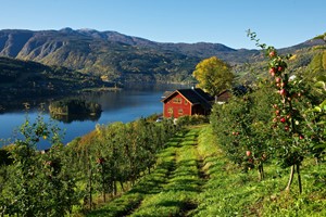 Syse Gard, Ulvik, Norway
