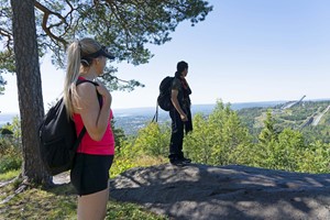 Hike with a view of the Oslofjord - Things to do in Oslo, Norway