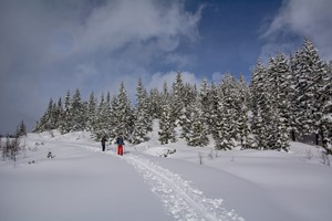 Snowshoe hiking in Raundalen, Voss