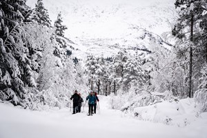 Excursión con raquetas de nieve en Raundalen, Voss