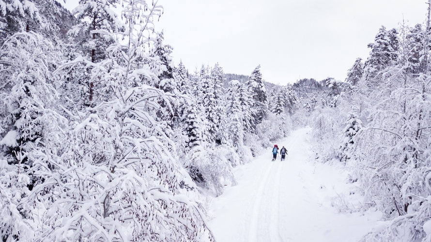 Schneeschuhwandern in Raundalen, Voss