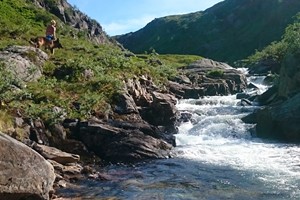 Møyåni  - Hike to Killandbu from Voss  - Voss, Norway