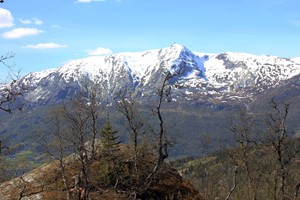 View towards Lønahorgi mountain - Mountain hike on Sverrestigen from Voss