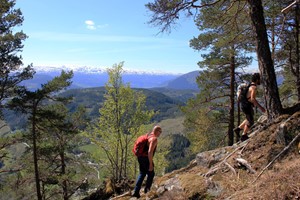 Steilhang bei einer Bergwanderung nach Sverrestigen - Voss, Norwegen
