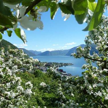 Leikanger - Der Sognefjord, Norwegen