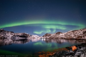 Magisk Nordlys i Lofoten - Nordlys Fototur i Reine - Aktiviteter i Lofoten, Reine