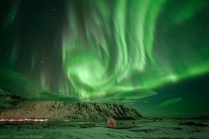 Tanzende Nordlichter auf den Lofoten - Nordlicht-Fototour in Reine - Aktivitäten auf den Lofoten, Reine