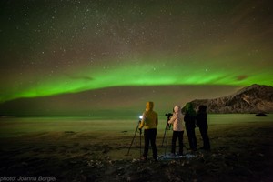Tour fotográfico de la aurora boreal en Reine, Lofoten - Actividades en Lofoten, Reine, Noruega