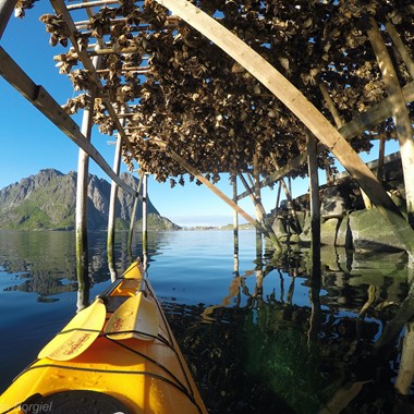 Ting å gjøre i Reine i Lofoten -Guidet Kajakktur på Reinefjorden