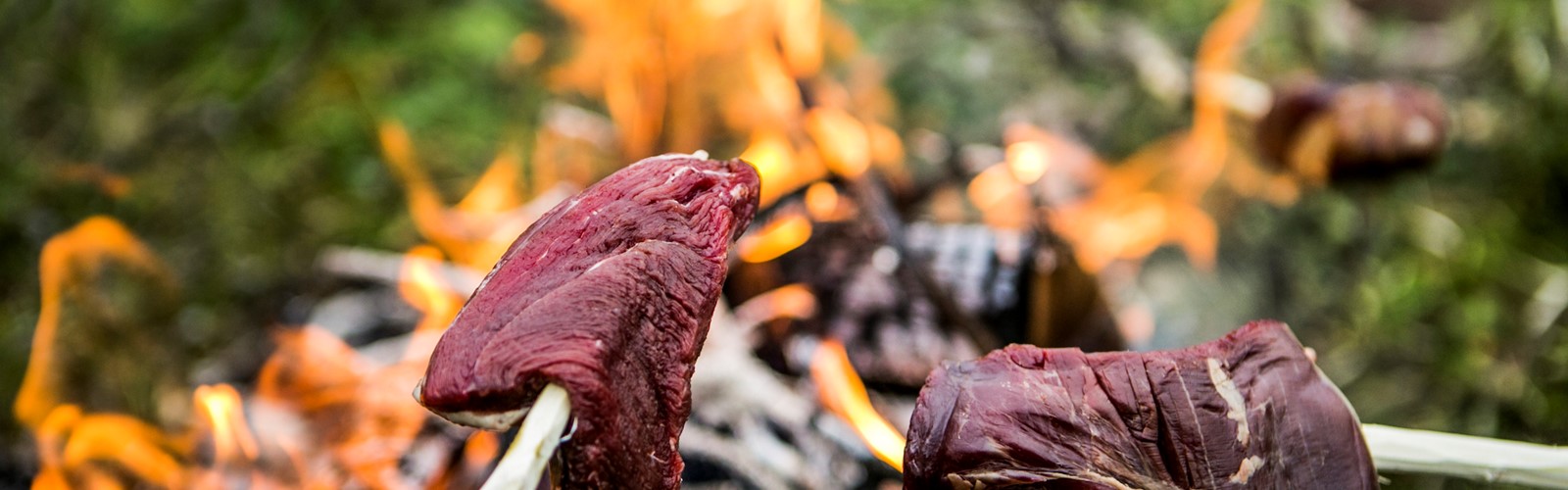 REINDEER MEAT COOKED ON CAMPFIRE FINNMARK NORWAY PHOTO CHRISTIAN ROTH CHRISTENSEN 5848258 Foto Christian Roth Christensen