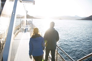 Things to do in Tromso - Whale watching at sunset - Tromso, Norway