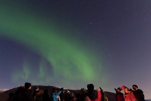 Crucero gastronómico con la aurora boreal en Tromsø