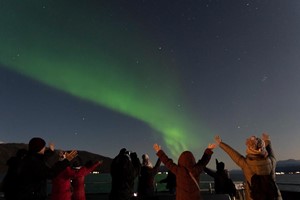 The Northern Lights dance in the sky - Culinary Northern Lights Cruise from Tromsø, Norway