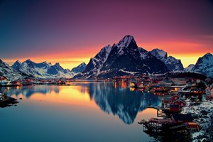 Opplev magiske Moskenes på Lofoten uten Bil med Fjord Tours 