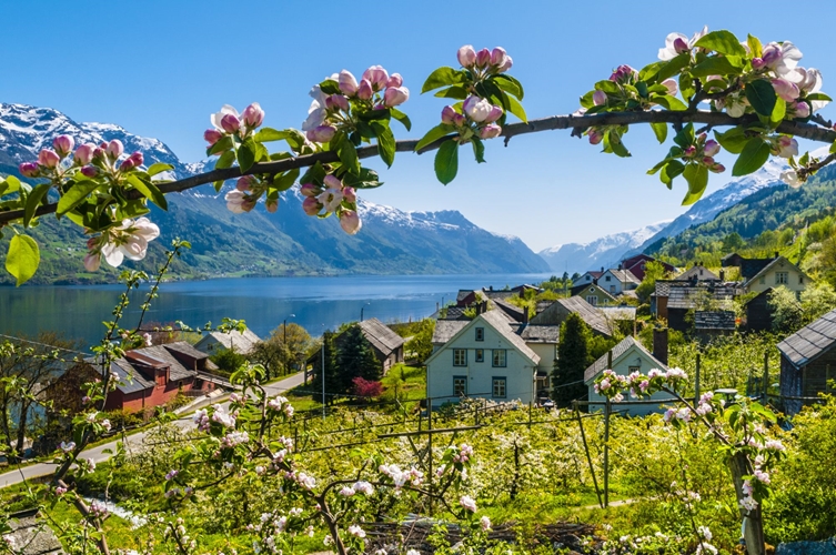 Famous Waterfalls & Scenic Fjord Villages
