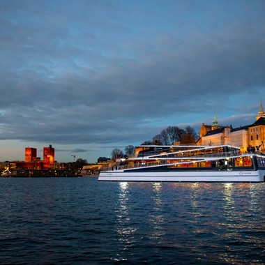 Crucero por el fiordo en una embarcación eléctrica en Oslo - Noruega