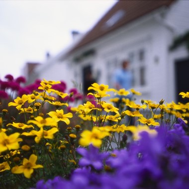 Blomster i Stavanger