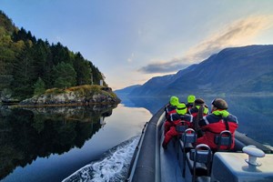Aktivitäten in Odda - Rib-Bootsfahrt auf dem schönen Hardangerfjord - Odda, Norwegen