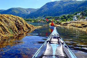 Geführte Kajaktour auf dem Sognefjord, ein ruhiger Tag auf dem Fjord - Aktivitäten in Balestrand, Norwegen