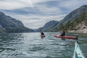Hacer kayak en el fiordo de Hardanger - Odda, Noruega