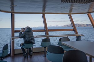 Looking for wild animals - Skrova Island cruise in Lofoten 