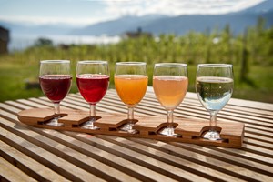 Apfelweinverkostung bei Balholm Cider in Balestrand - Sognefjord, Norwegen