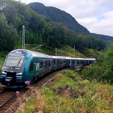 The Bergenbahn - Voss, Norwegen