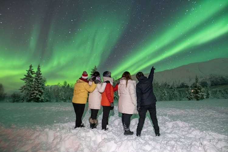 Safari de auroras boreales en Tromsø