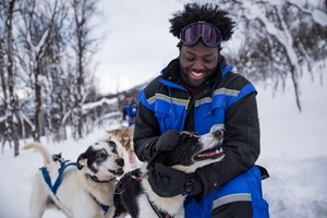 Fröhliche Huskys bei einer Schlittenfahrt in Tromsø, Norwegen