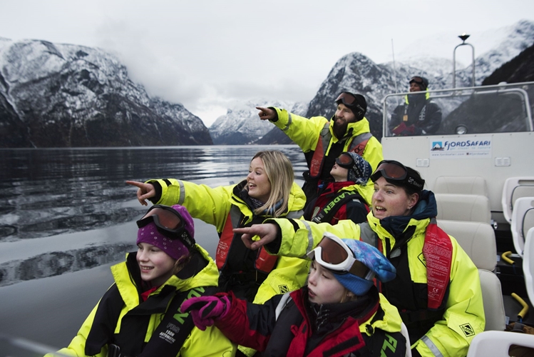 Safari de invierno por fiordos y cena vikinga en Flåm