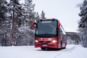 Ting å gjøre i Tromsø - Hvalsafari buss Tromsø - Skjervøy