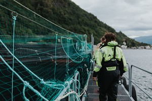 Fiskeoppdrett i Hardangerfjorden - Fjord og laksesafari, Øystese - aktiviteter i Øystese 