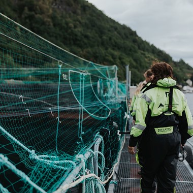 Fischzucht im Hardangerfjord - Fjord- und Lachssafari, Øystese - Aktivitäten in Øystese, Norwegen