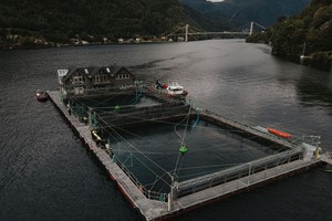 Aktiviteter i Øystese  - Fiskeoppdrett i Hardangerfjorden på Fjord og laksesafari fra Øystese