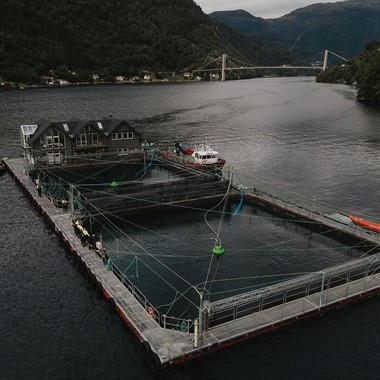 Aktiviteter i Øystese  - Fiskeoppdrett i Hardangerfjorden på Fjord og laksesafari fra Øystese