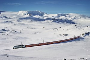 Die Bergenbahn, Finse - Oslo- Bergen, Norwegen