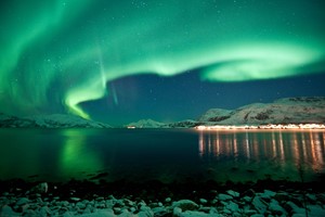 Arktiske Eventyr i Tromsø